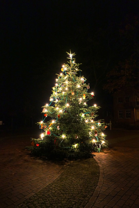 EystruperWeihnachtsbaum2020
